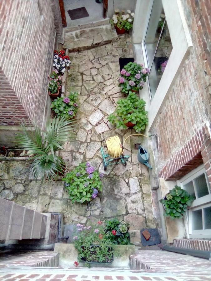 Alex Guest House Dozulé Εξωτερικό φωτογραφία